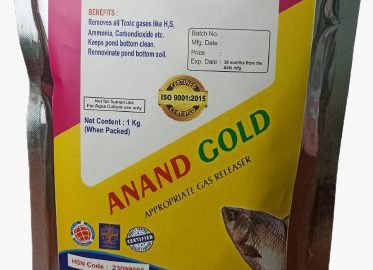 WhatsApp Image 2025-01-19 at 4.10.44 PM