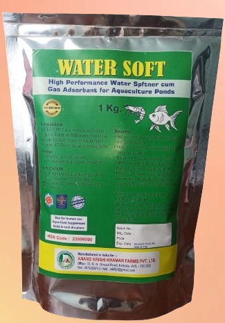 WhatsApp Image 2025-11-20 at 5.08.08 PM