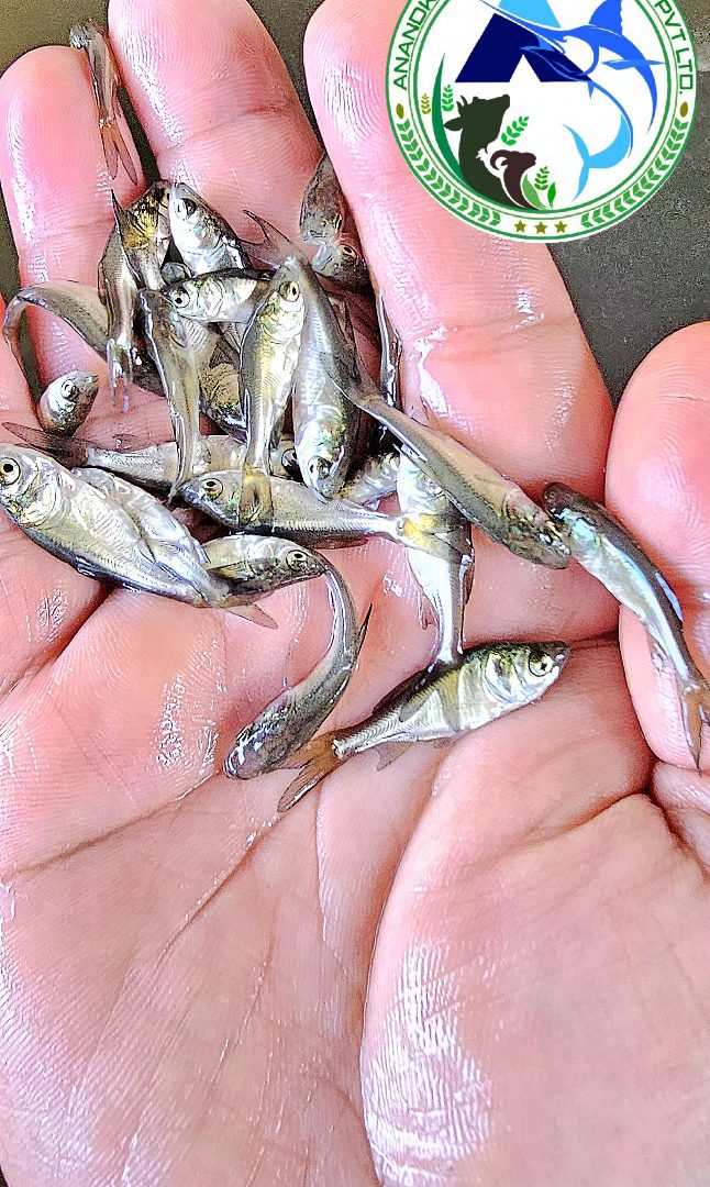 WhatsApp Image 2025-11-19 at 1.22.38 PM (2)