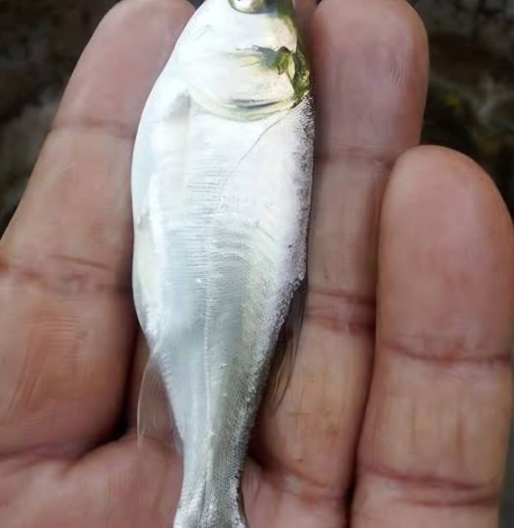 WhatsApp Image 2025-11-19 at 1.35.30 PM