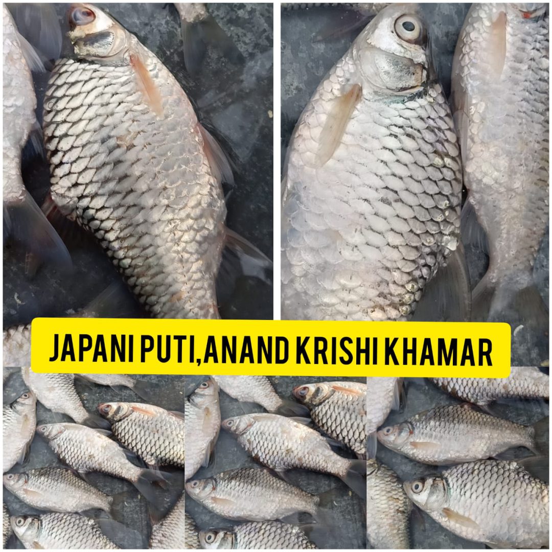 WhatsApp Image 2025-11-20 at 2.34.24 PM