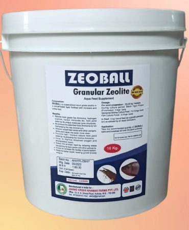 WhatsApp Image 2025-11-20 at 5.07.25 PM