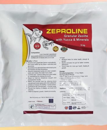 WhatsApp Image 2025-11-20 at 5.07.31 PM