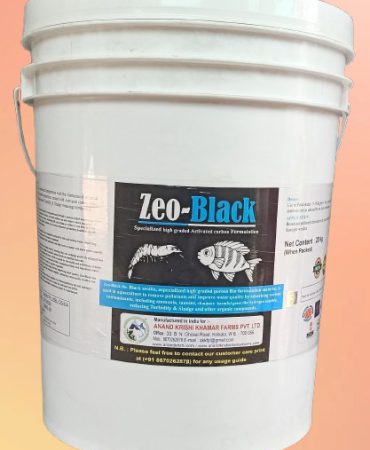 WhatsApp Image 2025-11-20 at 5.07.42 PM