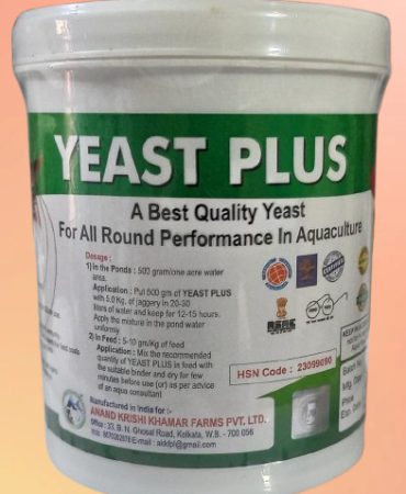 WhatsApp Image 2025-11-20 at 5.08.27 PM (2)