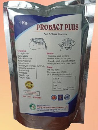 WhatsApp Image 2025-11-20 at 5.08.53 PM