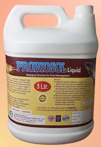 WhatsApp Image 2025-11-24 at 12.14.52 PM