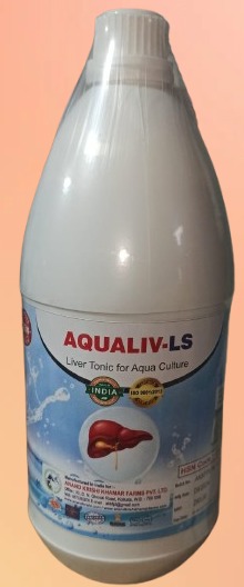 WhatsApp Image 2025-11-24 at 12.15.13 PM