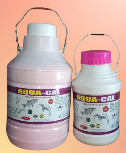 WhatsApp Image 2025-11-24 at 12.15.22 PM