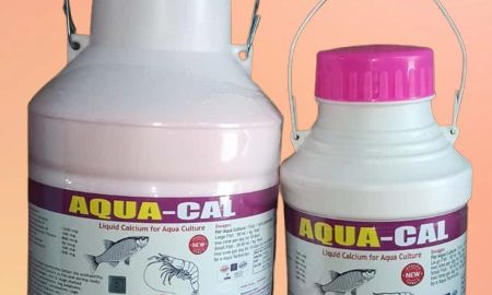 WhatsApp Image 2025-11-24 at 12.15.22 PM