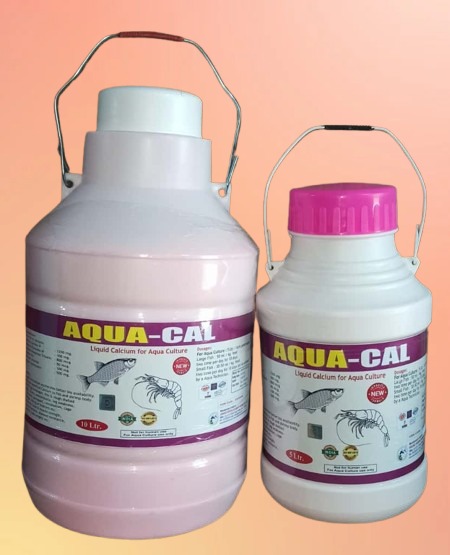 WhatsApp Image 2025-11-24 at 12.15.22 PM