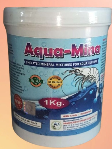 WhatsApp Image 2025-11-24 at 12.15.32 PM