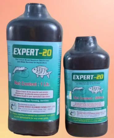 WhatsApp Image 2025-11-24 at 12.16.02 PM