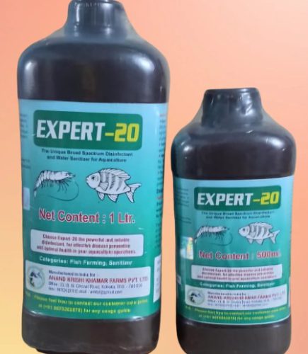 WhatsApp Image 2025-11-24 at 12.16.02 PM