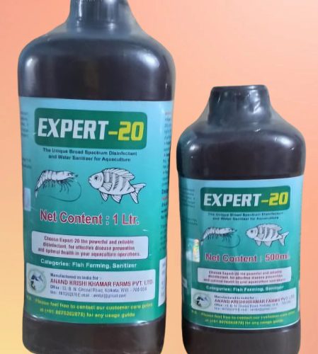 WhatsApp Image 2025-11-24 at 12.16.02 PM