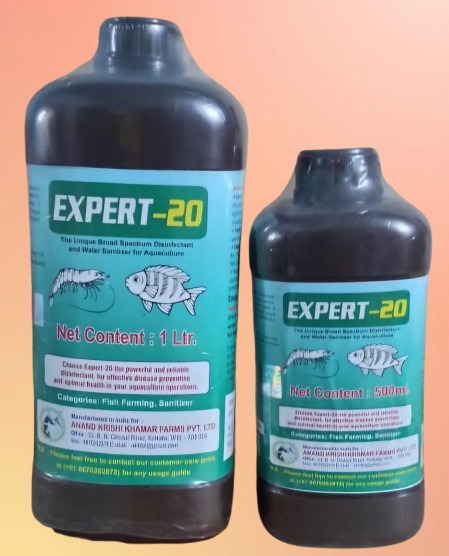 WhatsApp Image 2025-11-24 at 12.16.02 PM