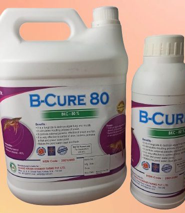 WhatsApp Image 2025-11-24 at 12.16.03 PM (1)