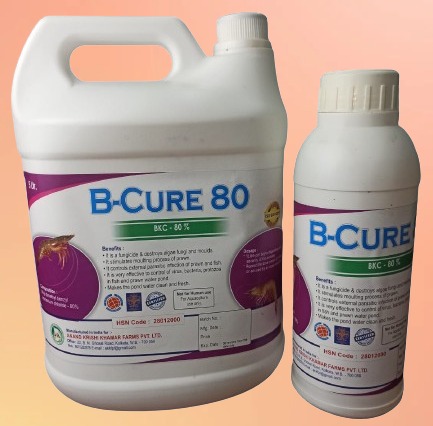 WhatsApp Image 2025-11-24 at 12.16.03 PM (1)