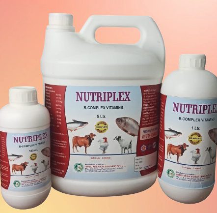 WhatsApp Image 2025-11-24 at 12.16.54 PM (1)