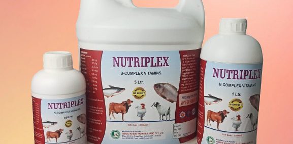 WhatsApp Image 2025-11-24 at 12.16.54 PM (1)