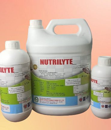 WhatsApp Image 2025-11-24 at 12.17.08 PM (1)