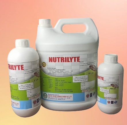 WhatsApp Image 2025-11-24 at 12.17.08 PM (1)