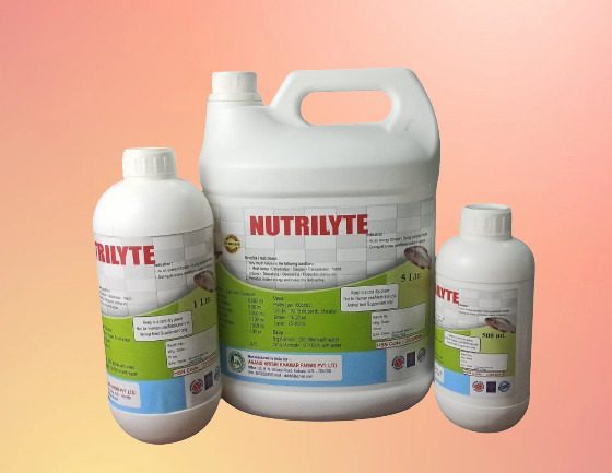 WhatsApp Image 2025-11-24 at 12.17.08 PM (1)