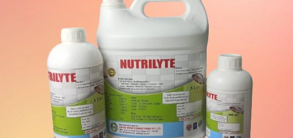 WhatsApp Image 2025-11-24 at 12.17.08 PM (1)